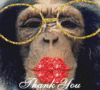 Click image for larger version

Name:	CHIMP THANK YOU KISS.gif
Views:	7573
Size:	68.4 KB
ID:	348260
