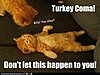 Click image for larger version

Name:	turkey coma.jpg
Views:	4447
Size:	31.5 KB
ID:	378178