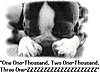 Click image for larger version

Name:	dog-hide-and-seek.jpg
Views:	273
Size:	46.6 KB
ID:	406489