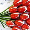 Click image for larger version

Name:	cream cheese stuffed tomatos on green onion stems.jpg
Views:	2938
Size:	59.1 KB
ID:	407487