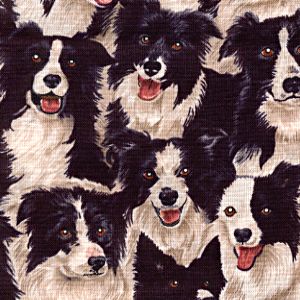 Border Collie Fabric - Quiltingboard Forums