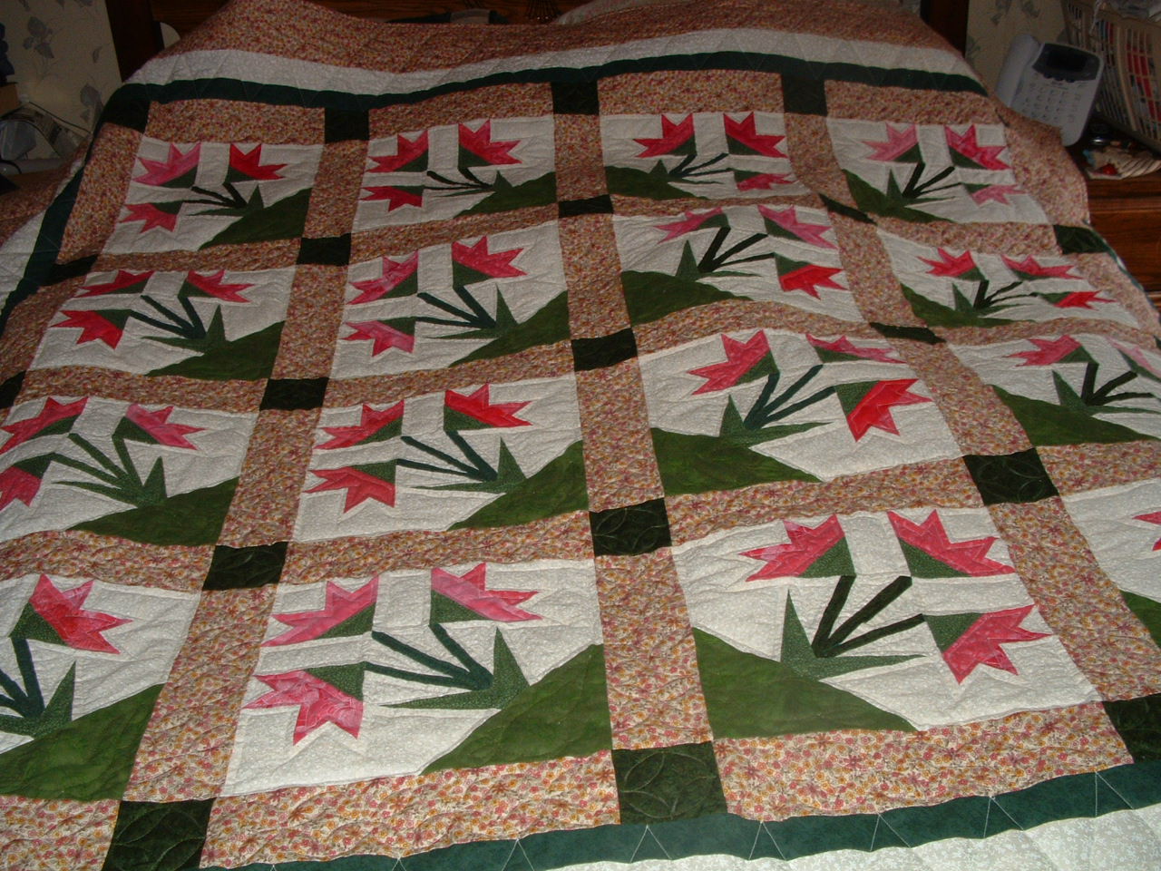 Carolina Lily Paper Pieced Quilt Done