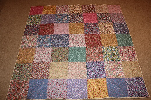 quiltingboard-forums-forty-nine-10-inch-floral-squares-equal-a-fun-quilt